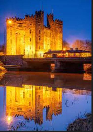 Bunratty Castle Gardens Villa Buitenkant foto